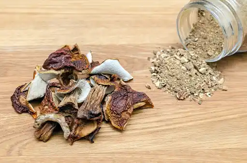dried-mushrooms-in-canada